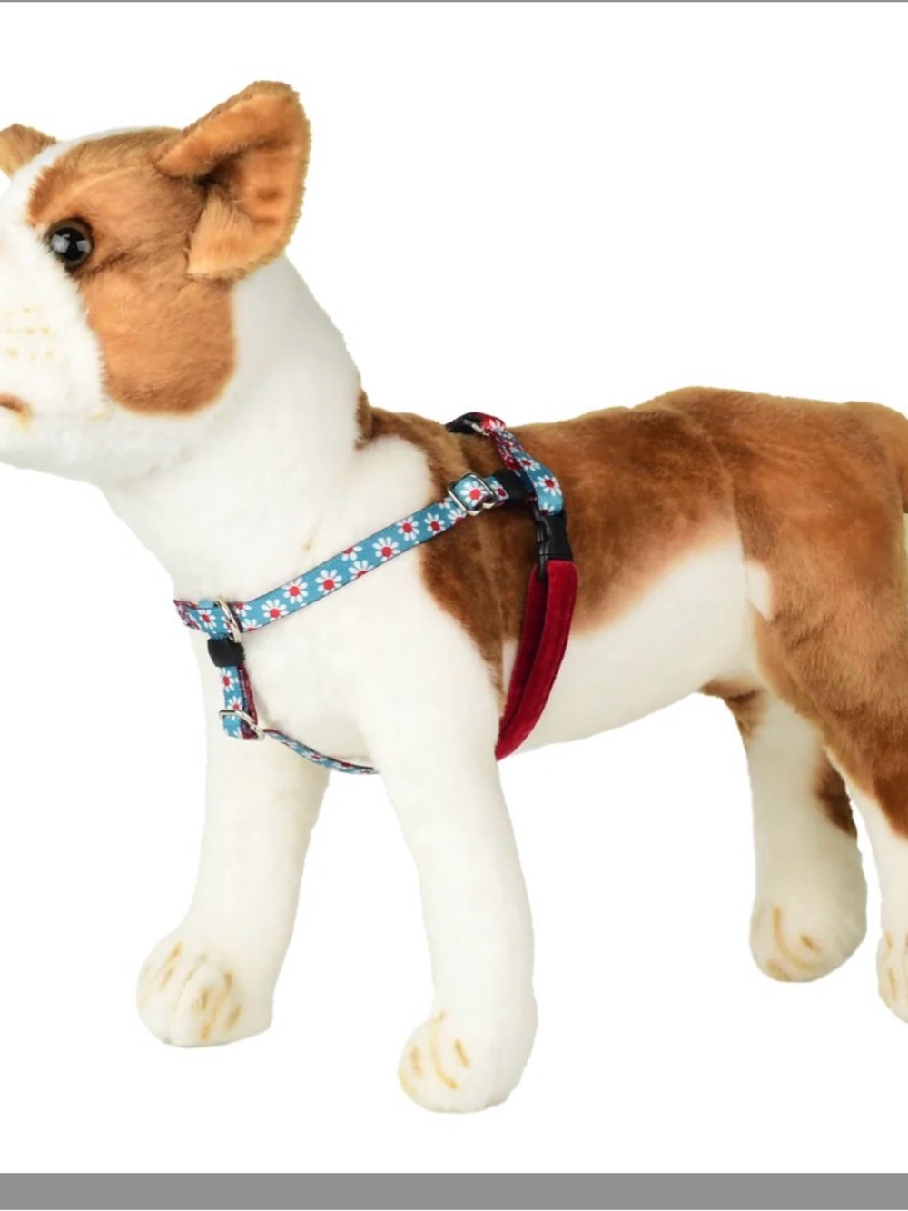 2 Hounds Design: XXS Harness AND Matching  Leash, Blue & Red Daisy